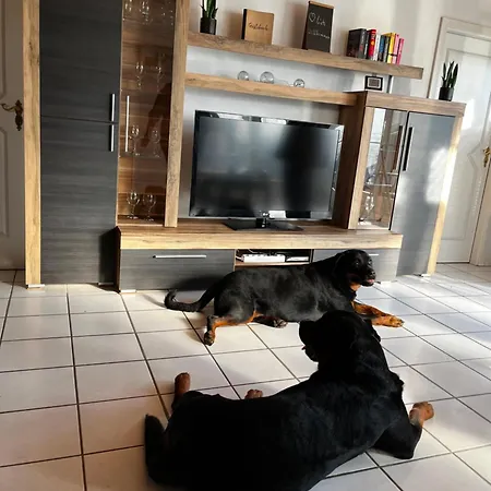 Zur Fellnase Feriehus Horka