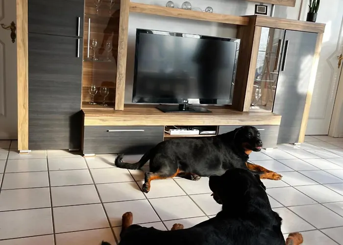 Zur Fellnase Holiday home Horka